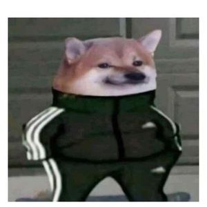 Meet your Posher, Jorge